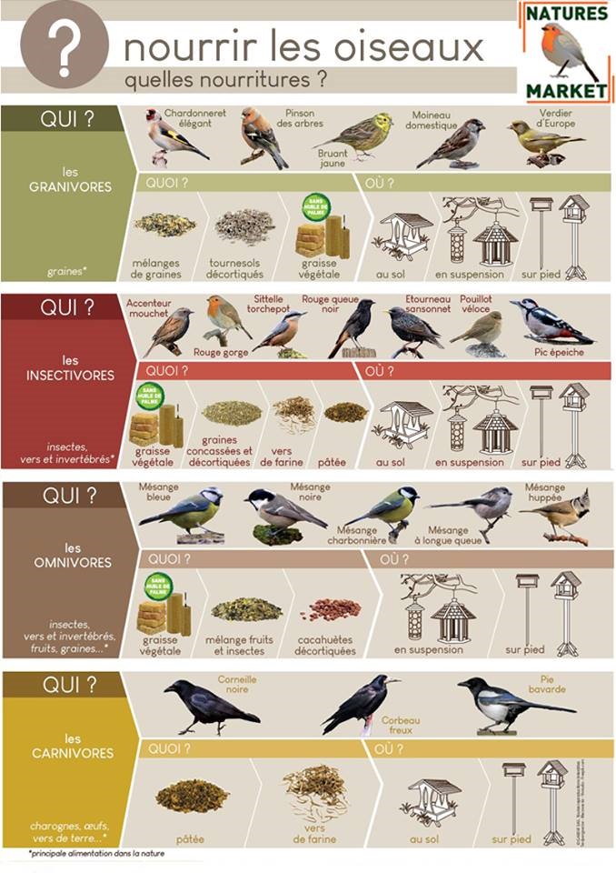 Conseils pour nourrir les oiseaux - natur&ëmwelt