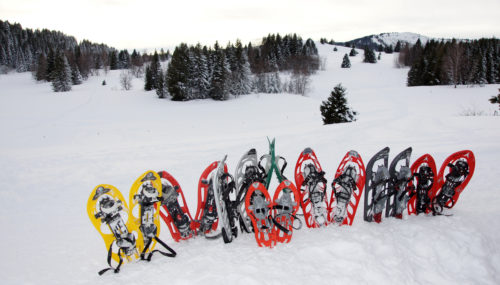 Raquettes à neige © Nicolas Vincent.